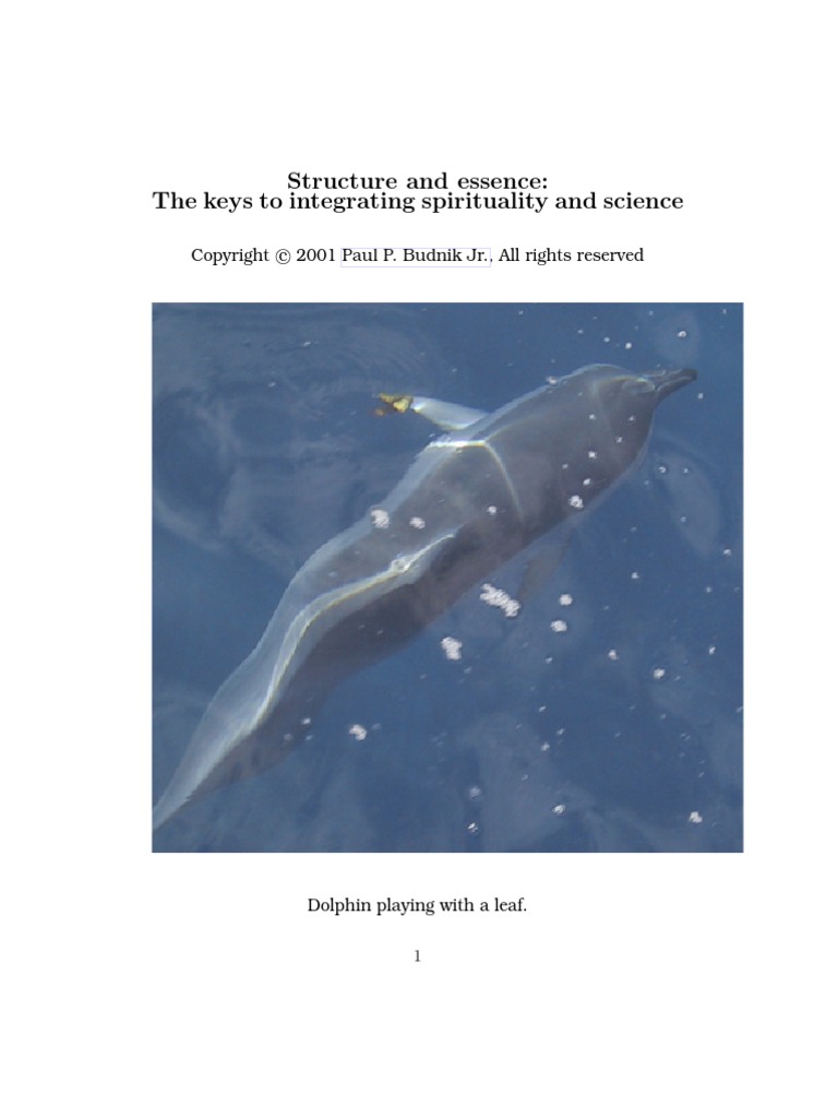 Structure and Essence Illustrated | PDF | Consciousness | Self