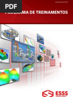 ESSS Treinamento 2012
