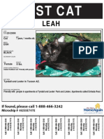 Lost Black Cat Leah in Tucson AZ