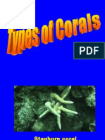 Types of Corals