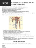 ATIVIDADES DE FIXAÇÃO Sistema Excretor Humano