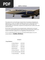 Marketing Plan of Indigo Airlines