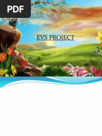 Download Evs Project by Bhargav Bardipurkar SN113582744 doc pdf