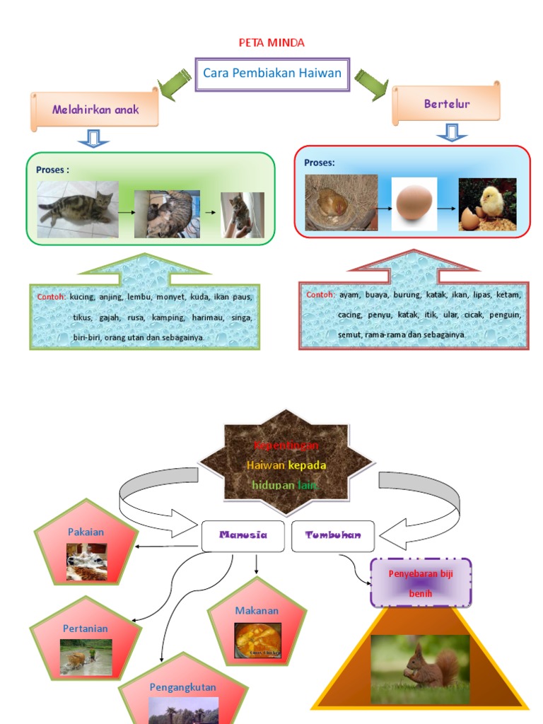 Peta Minda Pdf