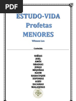 Lee, Witness - Estudo Vida Dos Profetas Menores