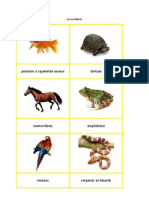 Classification Animale