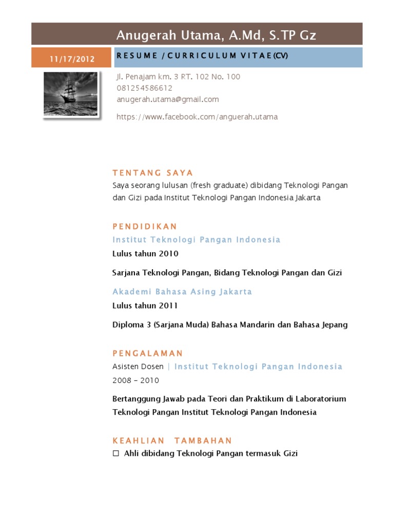 Contoh Resume Curriculum Vitae Cv Sederhana