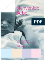 Bienvenido Bebe