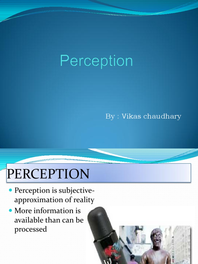 Consumer Perception in Decision Making | PDF | Perception | Stimulus ...
