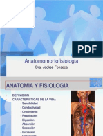 1. Planimetría Anatomica