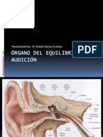 Organo Del Equilibrio y Audiciòn