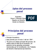 Principio Proceso Penal