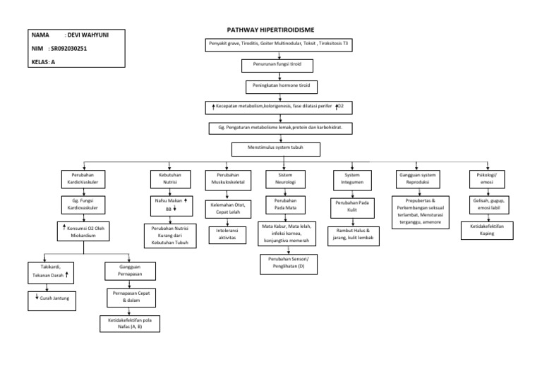 Pathway Hipertiroid