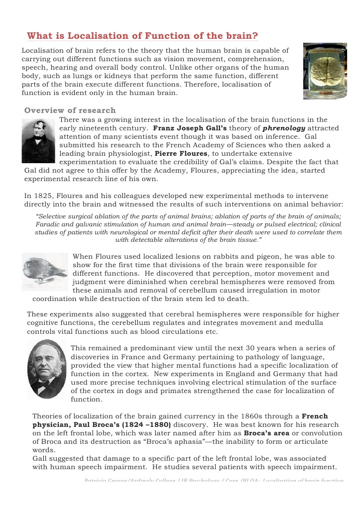 Localization Function | PDF | Human Brain | Cerebral Cortex