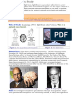 Gazzaniga Key Study