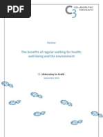 C3 Report on Walking