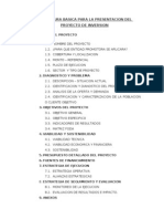 Estructura Basica para La Presentacion Del Proyecto de Inversion