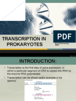 Transcription in Prokaryotes