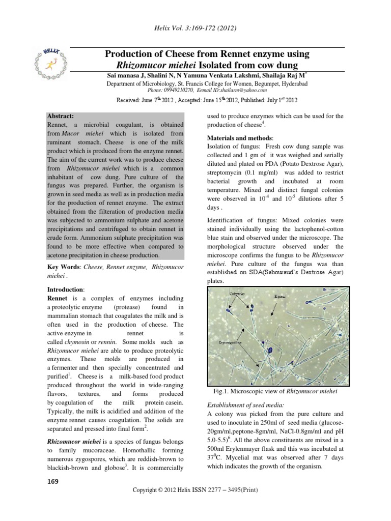 Production of Cheese From Enzyme Using Rhizomucor Miehei
