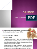 Silikosis PR Dr. Andre