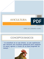 Presentacion Avicultura - Gallina Ponedora