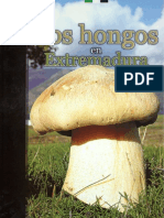 Los Hongos en Extremadura