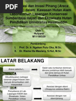 Download Ppt 21 November by akhimichy SN113899690 doc pdf
