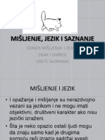 Mišljenje, Jezik I Saznanje