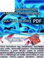 Esporoformadores y Sulfito-Reductores