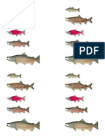 salmonpicstopasteintochart