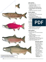 salmontypescomparision