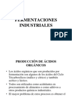 Fermentaciones Industriales II