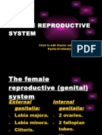 FEMALE REPRODUCTIVE SYSTEM._uterus (lect.18-11)..pptx