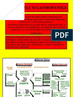 Gastrite Gastropatii Ulcer Peptic