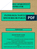 Patologia Nasului Si A Sinusurilor Paranazale