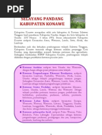 Download Kabupaten Konawe by Ilhamkappadirection Topongoro SN113986048 doc pdf