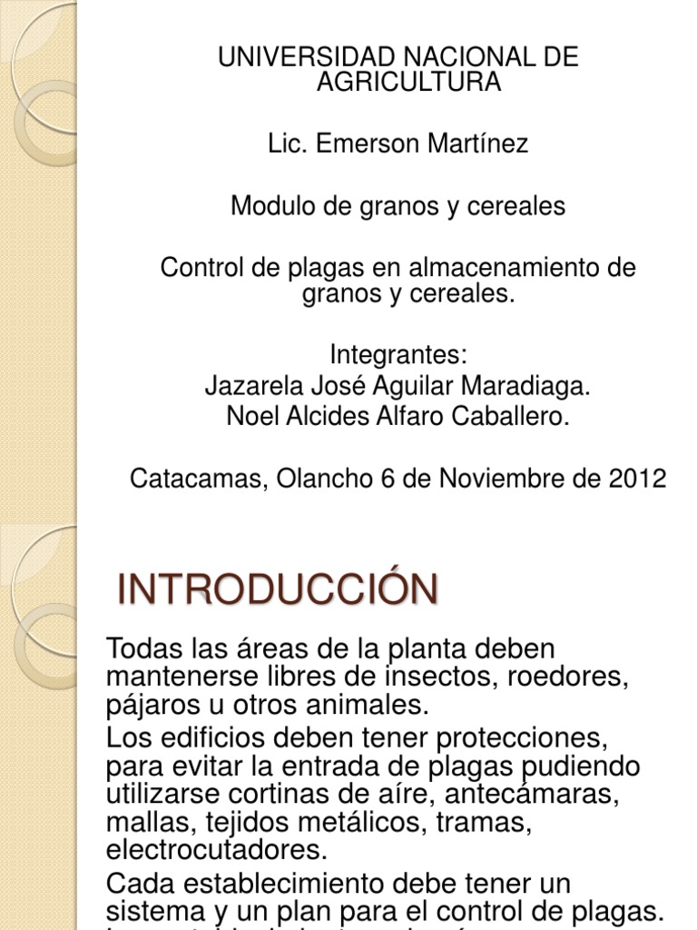 Control de Plagas en Almacenamiento de Granos y Cereales | PDF ...
