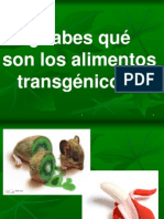 Transgenicos 091128053639 Phpapp02