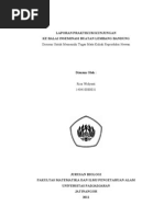 Download INSEMINASI BUATAN by Risa Widyasti SN113994574 doc pdf