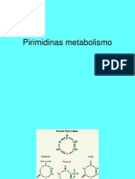 Pirimidinas Metabolismo