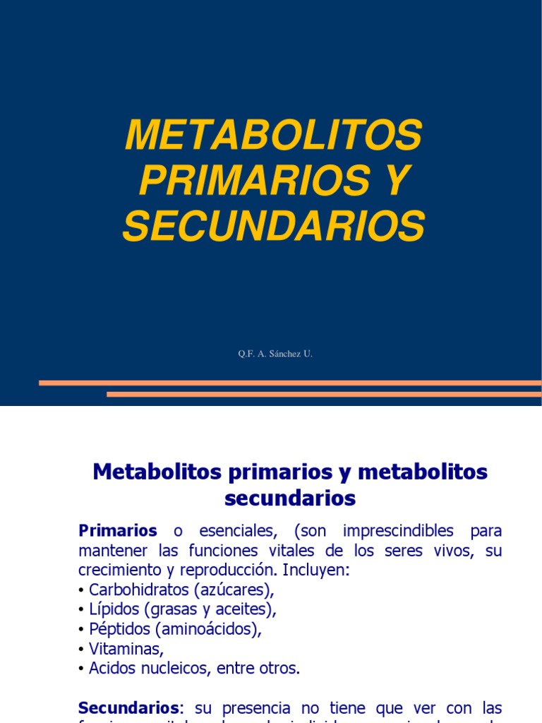 Metabolitos Primarios y Secundarios Clase 3 Plantas
