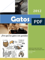 Revista de Gatos1 (Autoguardado)1hvisftra
