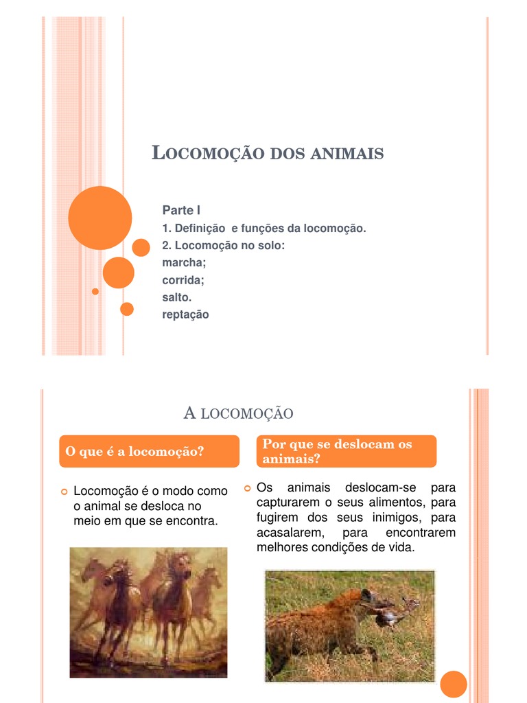 Modos de Locomoção dos Animais | PDF | Pé | Aves
