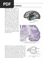 Download Hippocampus Anatomy by ravnoor SN114091513 doc pdf