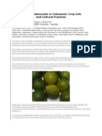 Download Calamansi Farming Tips by ptsievccd SN114100530 doc pdf