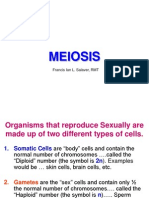 Lecture on Meiosis