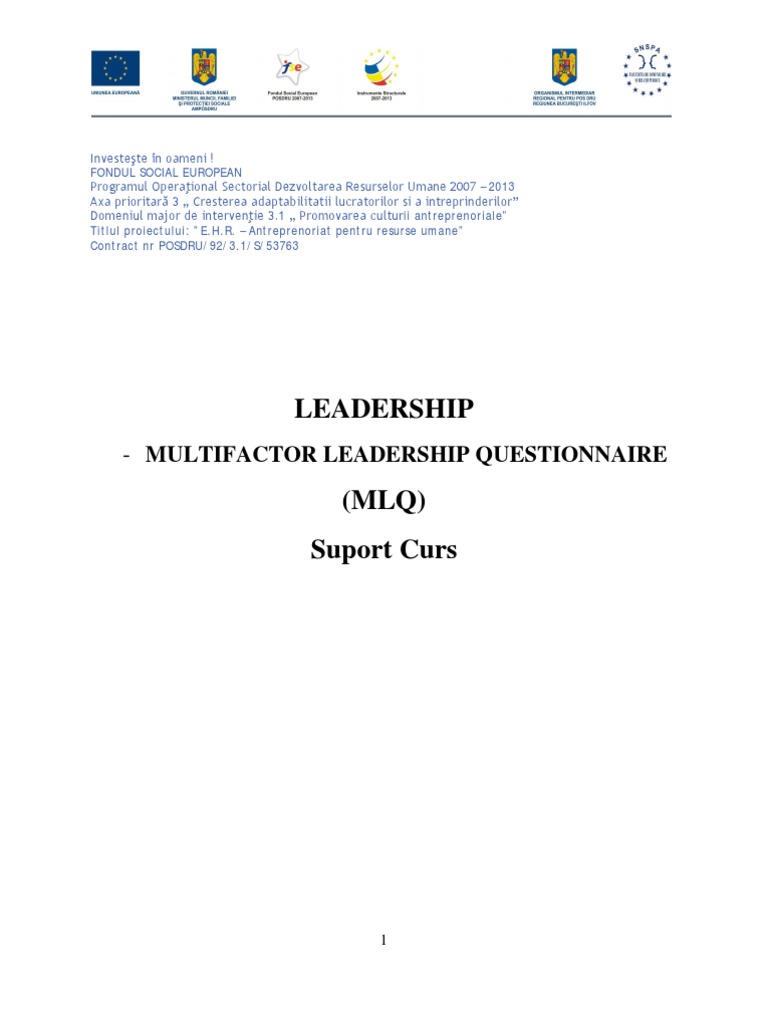 Multifactor Leadership Questionnaire – FNUYV