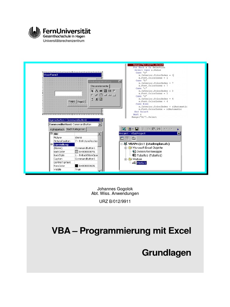 Vba-Programmierung Mit Excel Grundlagen | PDF