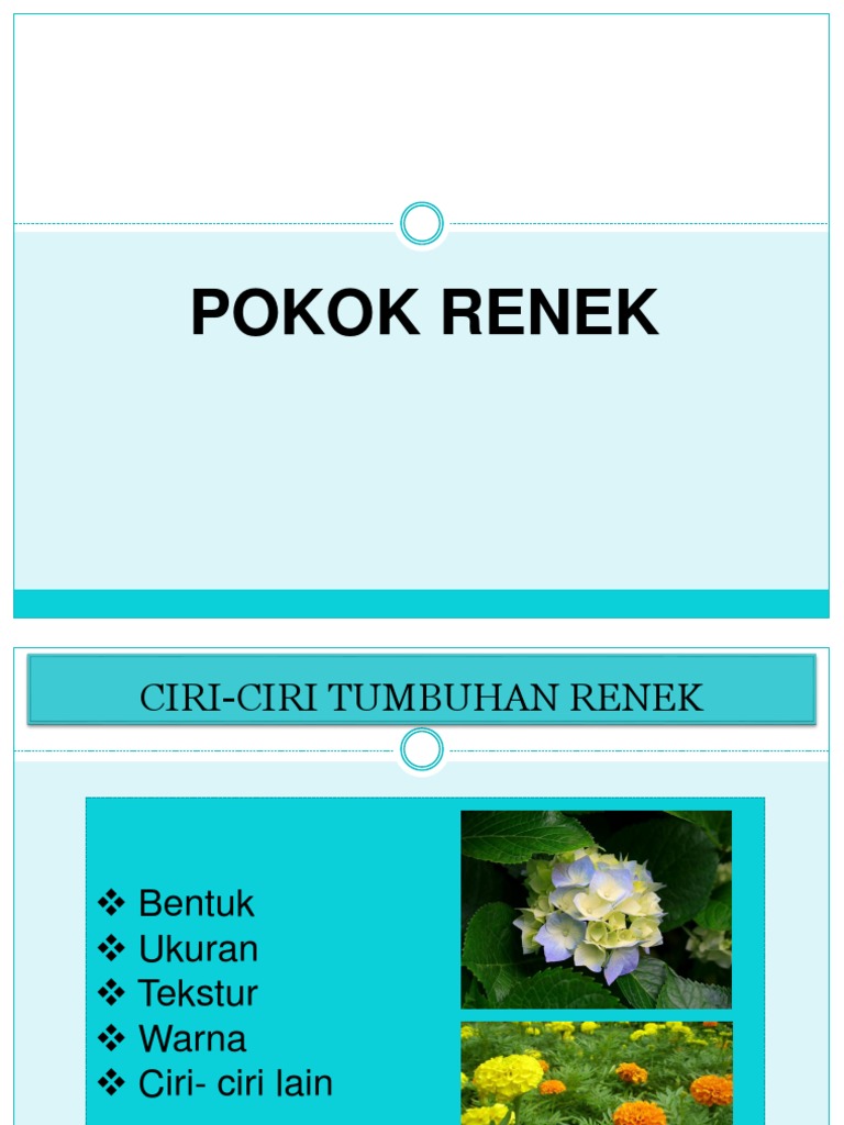 Pokok Renek | PDF
