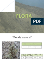 Flora Registrada